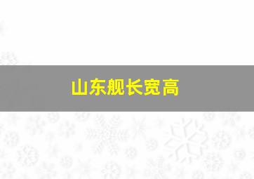 山东舰长宽高