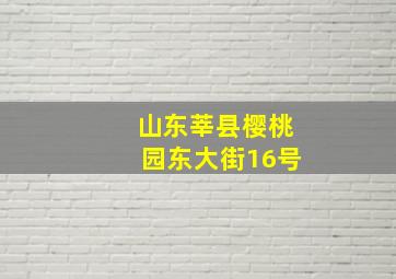 山东莘县樱桃园东大街16号