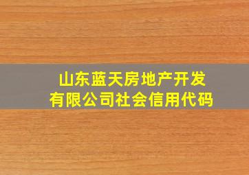 山东蓝天房地产开发有限公司社会信用代码