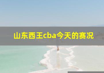 山东西王cba今天的赛况