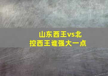 山东西王vs北控西王谁强大一点