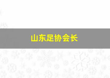 山东足协会长