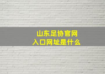 山东足协官网入口网址是什么