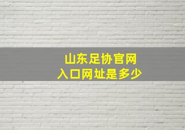 山东足协官网入口网址是多少