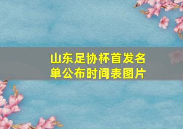 山东足协杯首发名单公布时间表图片