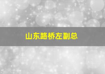 山东路桥左副总