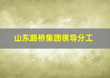 山东路桥集团领导分工