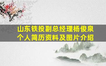 山东铁投副总经理杨俊泉个人简历资料及图片介绍