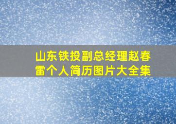 山东铁投副总经理赵春雷个人简历图片大全集