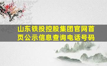 山东铁投控股集团官网首页公示信息查询电话号码