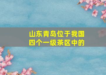 山东青岛位于我国四个一级茶区中的