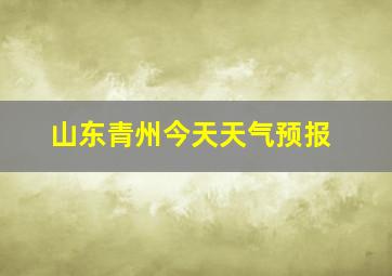 山东青州今天天气预报