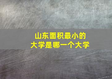 山东面积最小的大学是哪一个大学