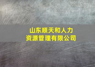 山东顺天和人力资源管理有限公司