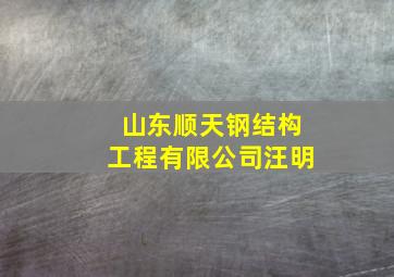 山东顺天钢结构工程有限公司汪明