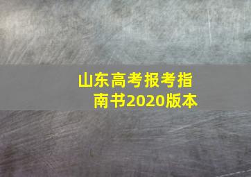 山东高考报考指南书2020版本