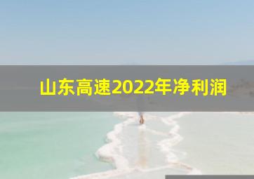 山东高速2022年净利润