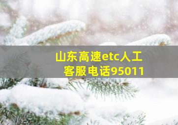 山东高速etc人工客服电话95011