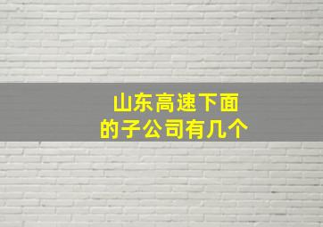 山东高速下面的子公司有几个