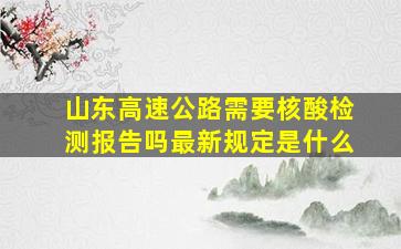 山东高速公路需要核酸检测报告吗最新规定是什么