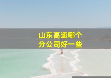 山东高速哪个分公司好一些