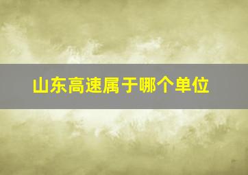 山东高速属于哪个单位