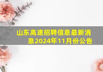 山东高速招聘信息最新消息2024年11月份公告