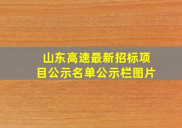 山东高速最新招标项目公示名单公示栏图片