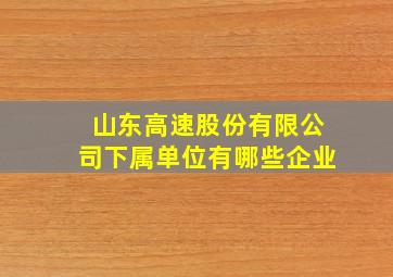 山东高速股份有限公司下属单位有哪些企业