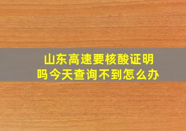 山东高速要核酸证明吗今天查询不到怎么办