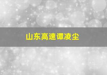 山东高速谭凌尘