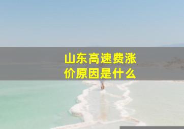 山东高速费涨价原因是什么