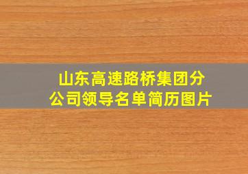 山东高速路桥集团分公司领导名单简历图片