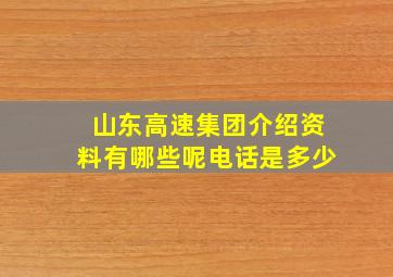 山东高速集团介绍资料有哪些呢电话是多少