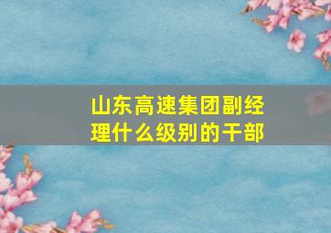 山东高速集团副经理什么级别的干部