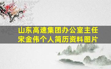 山东高速集团办公室主任宋金伟个人简历资料图片