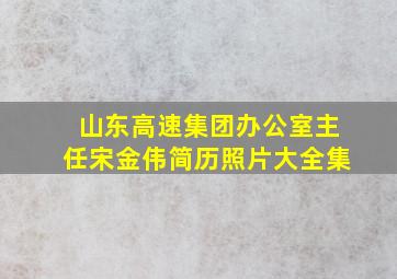 山东高速集团办公室主任宋金伟简历照片大全集