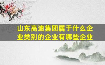 山东高速集团属于什么企业类别的企业有哪些企业