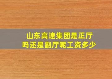 山东高速集团是正厅吗还是副厅呢工资多少