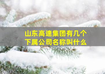 山东高速集团有几个下属公司名称叫什么