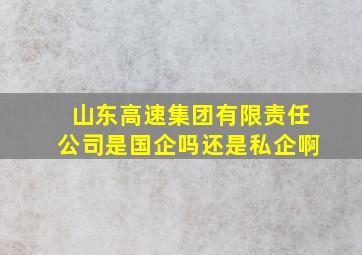 山东高速集团有限责任公司是国企吗还是私企啊