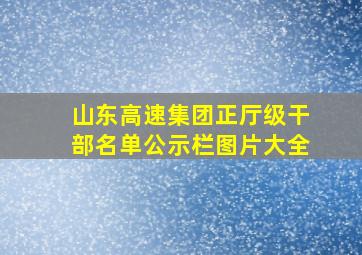 山东高速集团正厅级干部名单公示栏图片大全