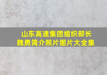 山东高速集团组织部长魏勇简介照片图片大全集