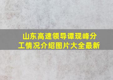 山东高速领导谭现峰分工情况介绍图片大全最新