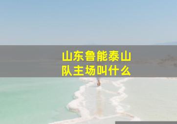 山东鲁能泰山队主场叫什么