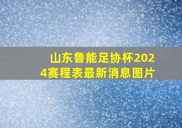 山东鲁能足协杯2024赛程表最新消息图片