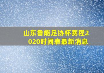 山东鲁能足协杯赛程2020时间表最新消息