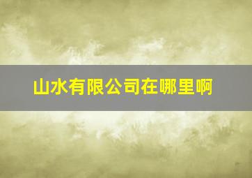 山水有限公司在哪里啊