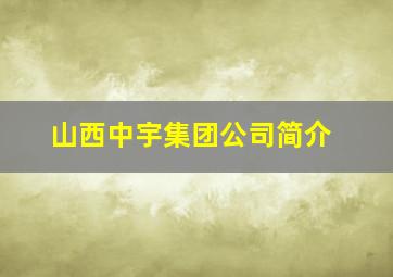 山西中宇集团公司简介