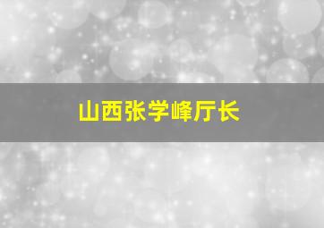 山西张学峰厅长